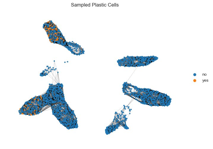 ../_images/notebooks_plasticity_simulation_example_15_1.png