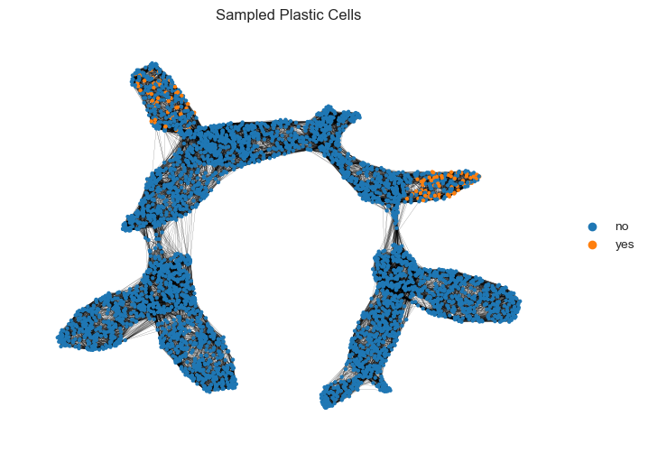 ../_images/notebooks_plasticity_simulation_example_24_1.png